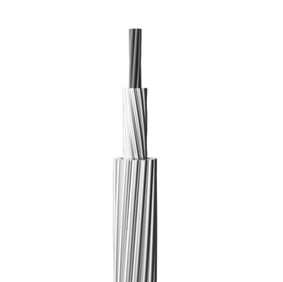 ACSS -- ALUMINUM CONDUCTOR STEEL SUPPORTED